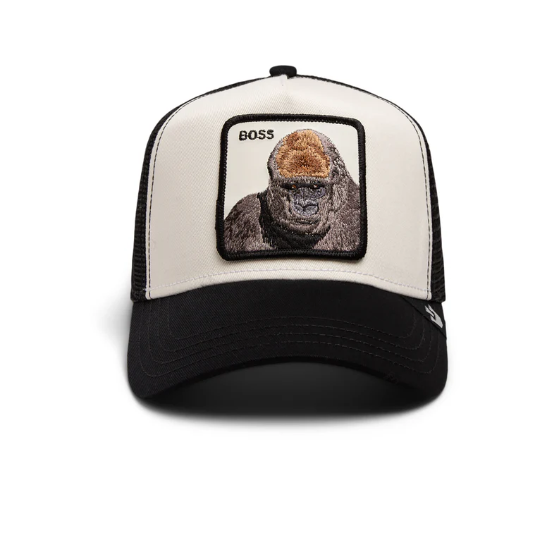 Exclusive Collection